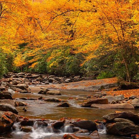 Peace, Serenity & Relaxation In The Smokies! Gatlinburg Exteriör bild