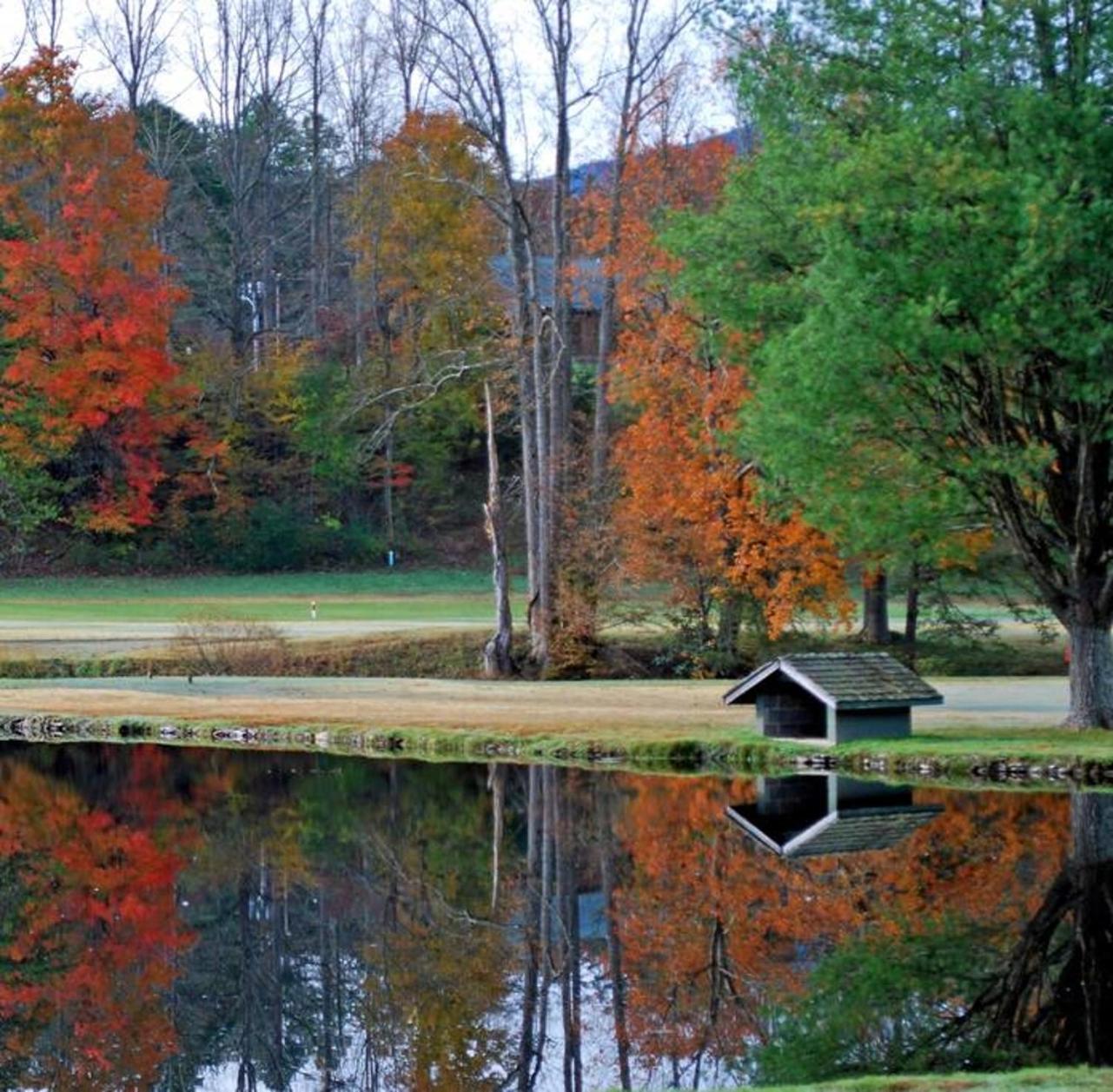 Peace, Serenity & Relaxation In The Smokies! Gatlinburg Exteriör bild
