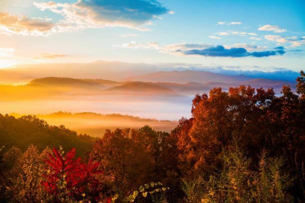 Peace, Serenity & Relaxation In The Smokies! Gatlinburg Exteriör bild